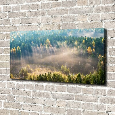 Quadro su tela Nebbia nella foresta