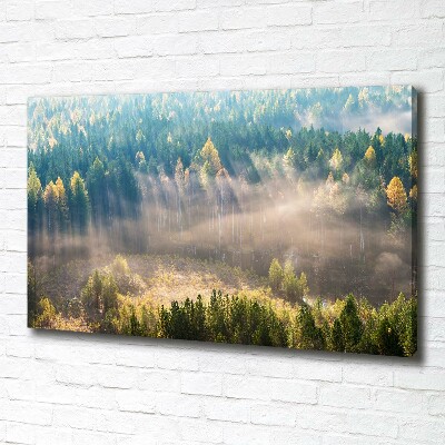 Quadro su tela Nebbia nella foresta