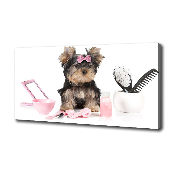 Quadro stampa su tela Cosmetici dello Yorkshire