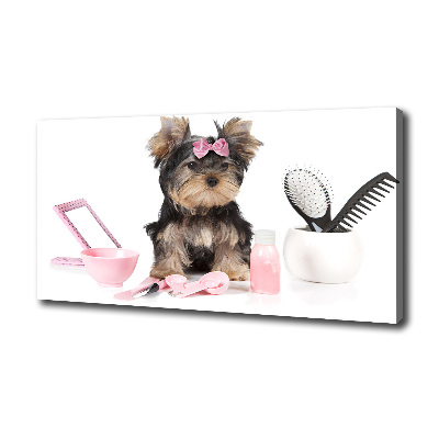 Quadro stampa su tela Cosmetici dello Yorkshire