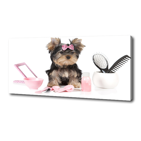 Quadro stampa su tela Cosmetici dello Yorkshire