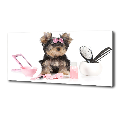 Quadro stampa su tela Cosmetici dello Yorkshire