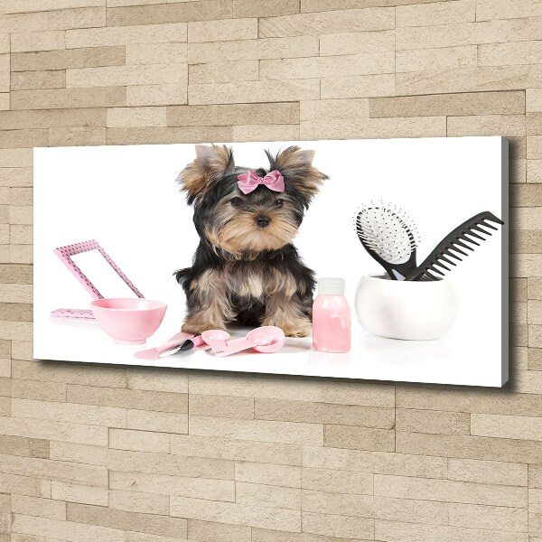 Quadro stampa su tela Cosmetici dello Yorkshire