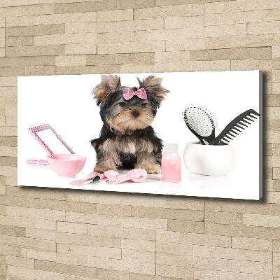 Quadro stampa su tela Cosmetici dello Yorkshire