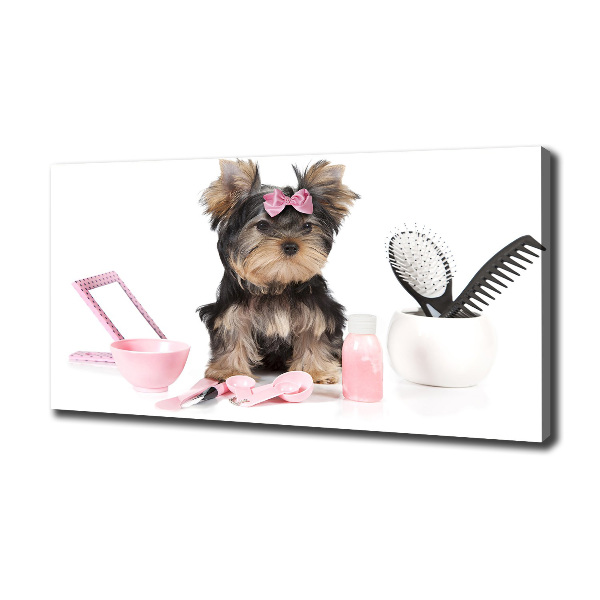 Quadro stampa su tela Cosmetici dello Yorkshire