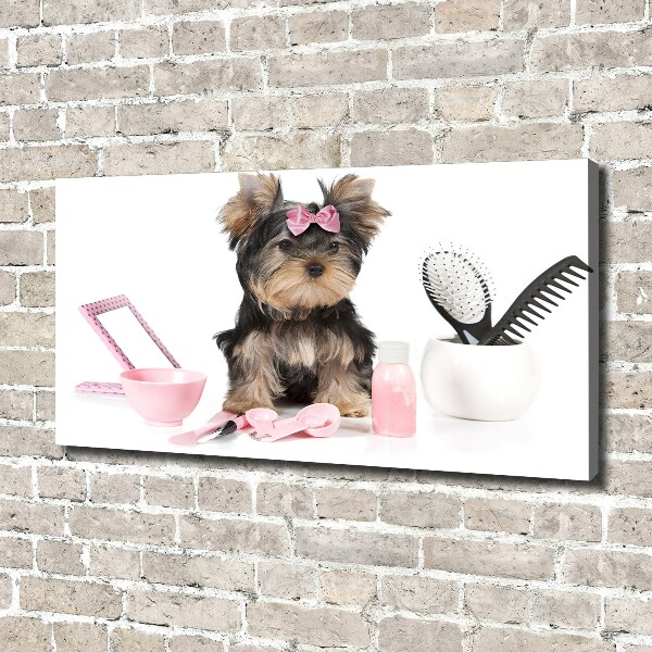 Quadro stampa su tela Cosmetici dello Yorkshire