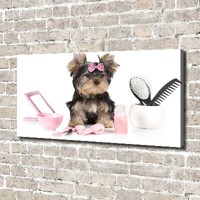 Quadro stampa su tela Cosmetici dello Yorkshire