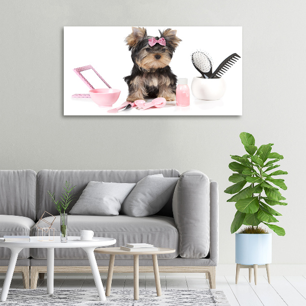 Quadro stampa su tela Cosmetici dello Yorkshire