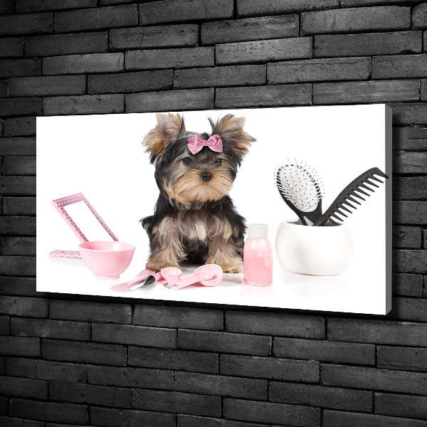 Quadro stampa su tela Cosmetici dello Yorkshire