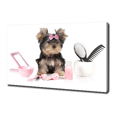 Quadro stampa su tela Cosmetici dello Yorkshire