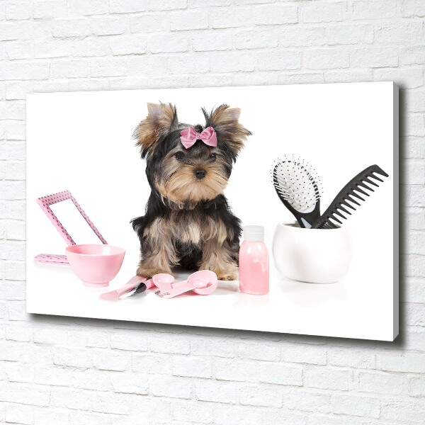 Quadro stampa su tela Cosmetici dello Yorkshire