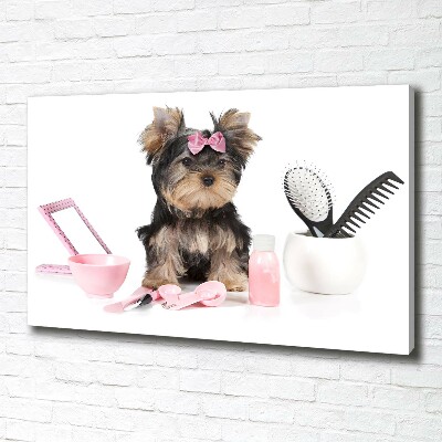 Quadro stampa su tela Cosmetici dello Yorkshire