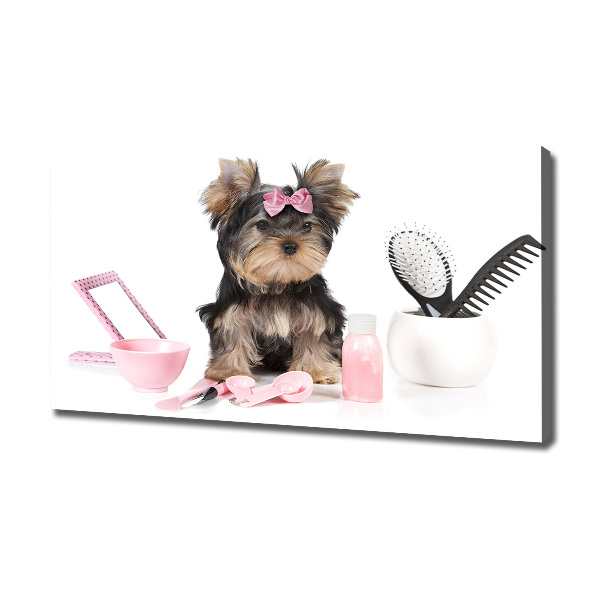 Quadro stampa su tela Cosmetici dello Yorkshire