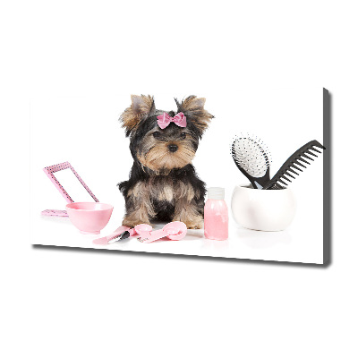 Quadro stampa su tela Cosmetici dello Yorkshire