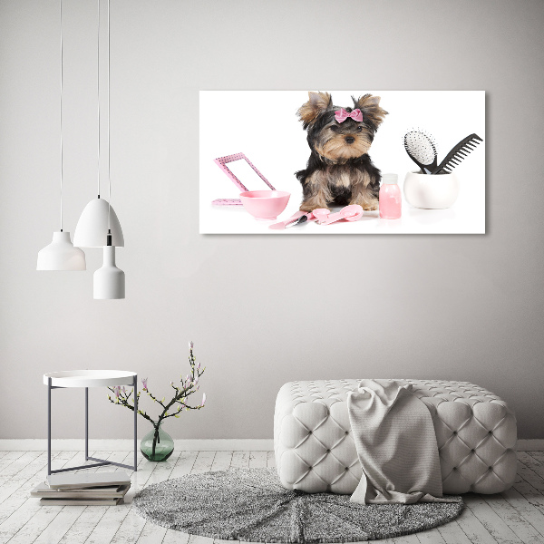 Quadro stampa su tela Cosmetici dello Yorkshire