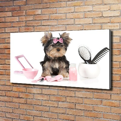 Quadro stampa su tela Cosmetici dello Yorkshire