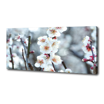 Quadro stampa su tela Fiori di ciliegio
