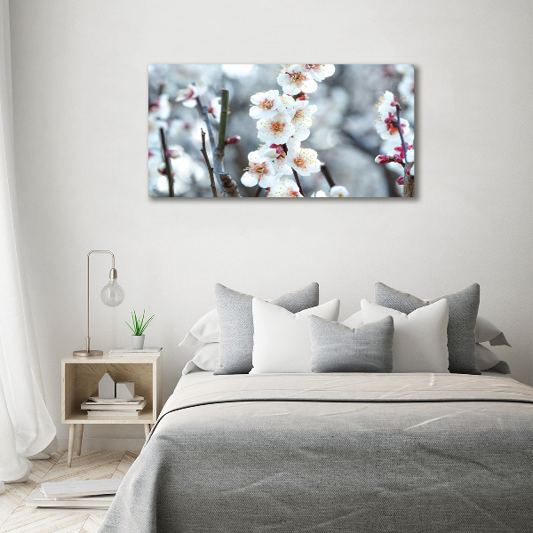 Quadro stampa su tela Fiori di ciliegio