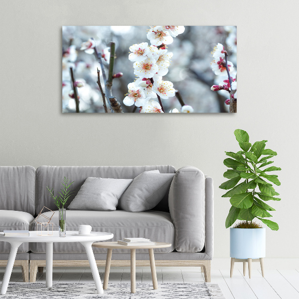 Quadro stampa su tela Fiori di ciliegio