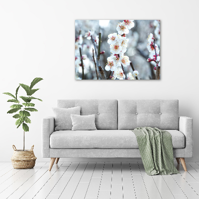 Quadro stampa su tela Fiori di ciliegio