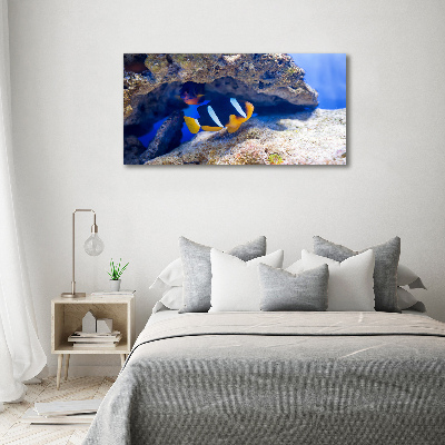 Foto quadro su tela Pesci tropicali