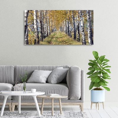 Quadro stampa su tela Betulle in autunno
