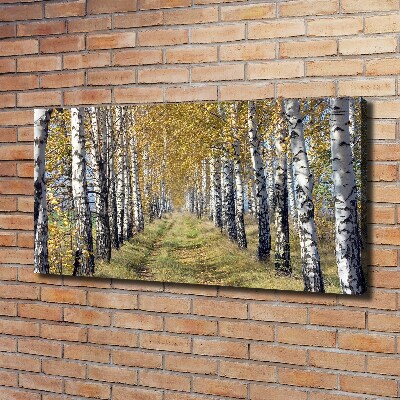 Quadro stampa su tela Betulle in autunno