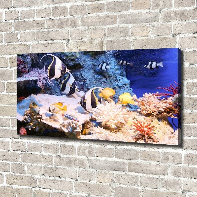 Quadro stampa su tela Barriera corallina