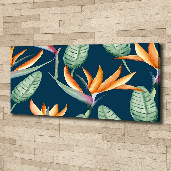 Foto quadro su tela Strelitzia reginae