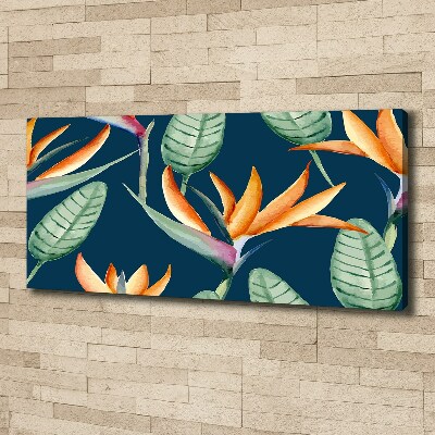 Foto quadro su tela Strelitzia reginae