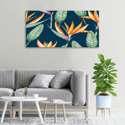 Foto quadro su tela Strelitzia reginae