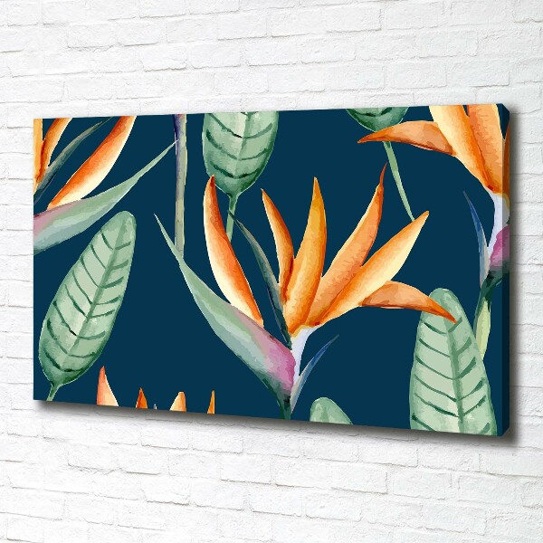 Foto quadro su tela Strelitzia reginae