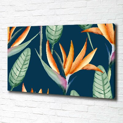 Foto quadro su tela Strelitzia reginae