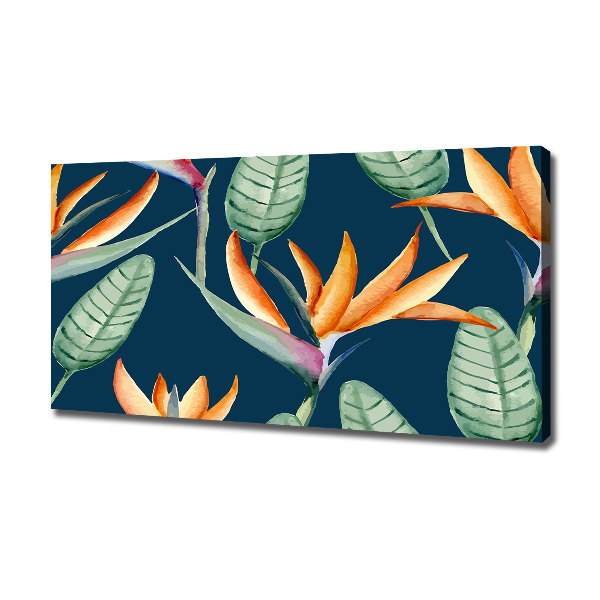 Foto quadro su tela Strelitzia reginae