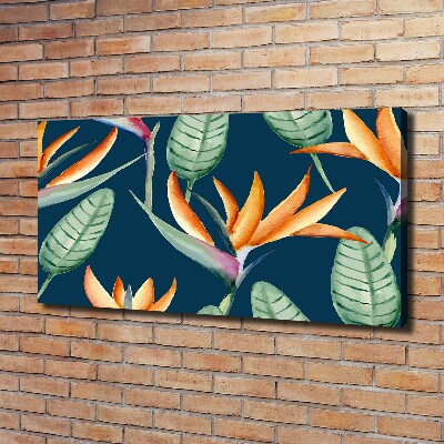 Foto quadro su tela Strelitzia reginae