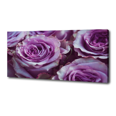 Foto quadro su tela Rose viola
