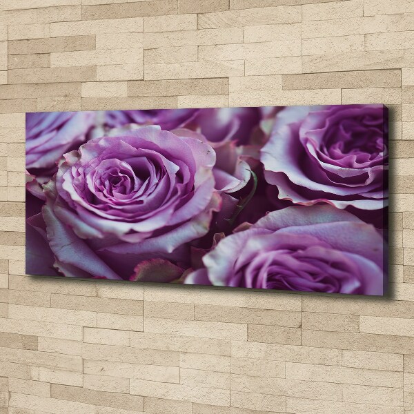 Foto quadro su tela Rose viola