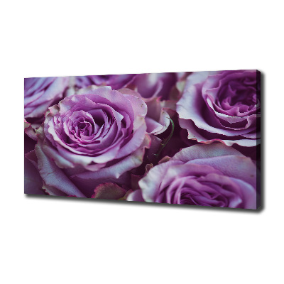 Foto quadro su tela Rose viola