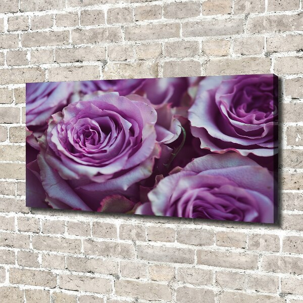 Foto quadro su tela Rose viola