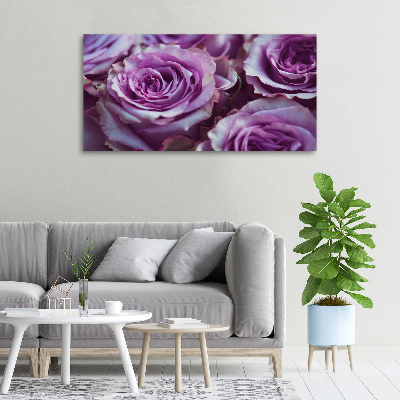 Foto quadro su tela Rose viola