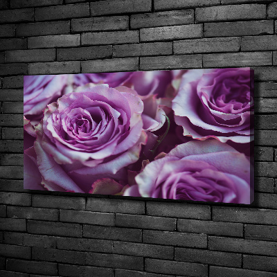 Foto quadro su tela Rose viola