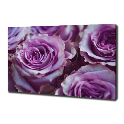 Foto quadro su tela Rose viola