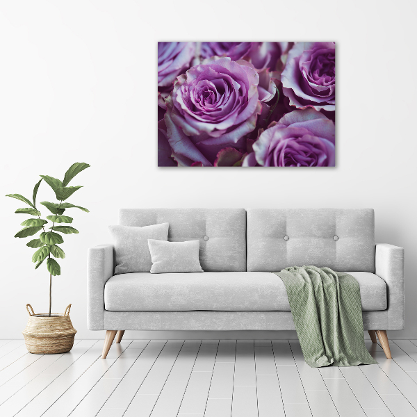 Foto quadro su tela Rose viola
