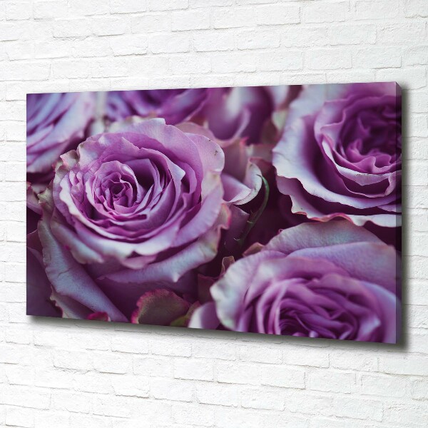 Foto quadro su tela Rose viola