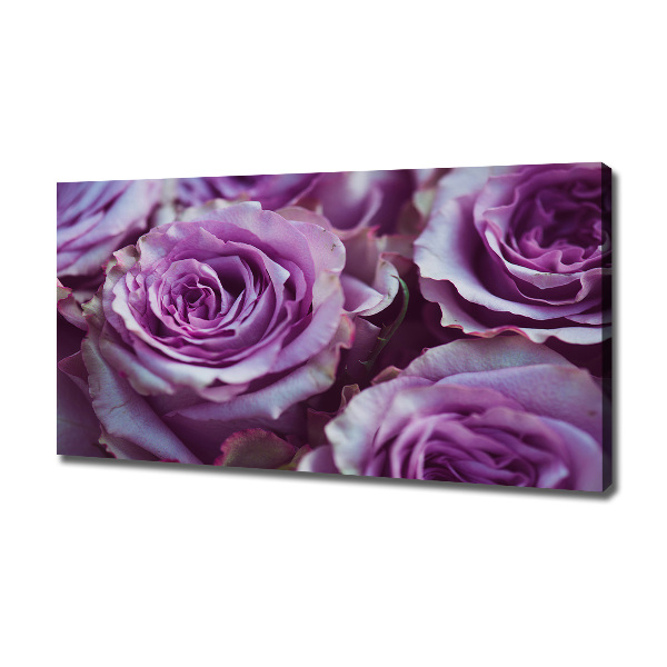 Foto quadro su tela Rose viola