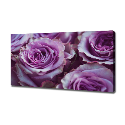 Foto quadro su tela Rose viola