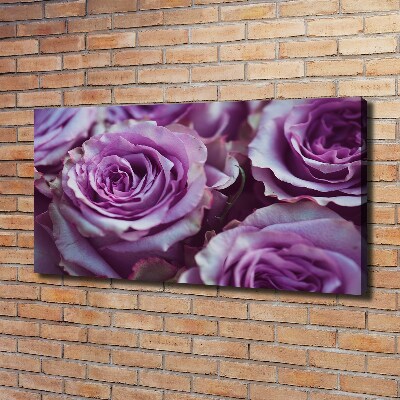 Foto quadro su tela Rose viola