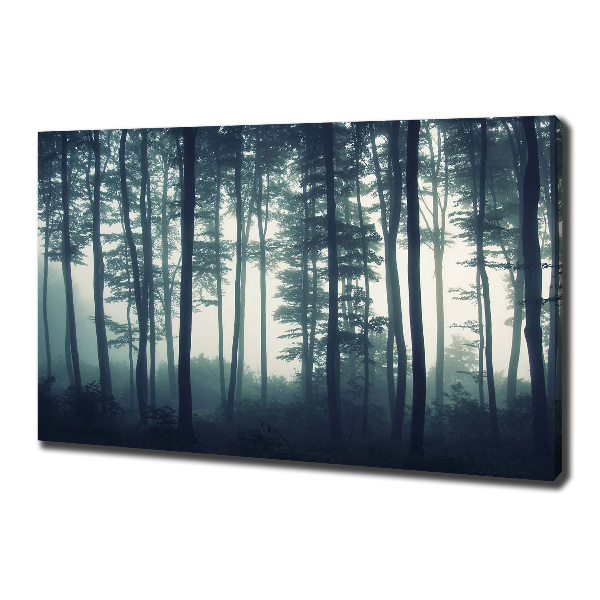 Quadro su tela Foresta nella nebbia