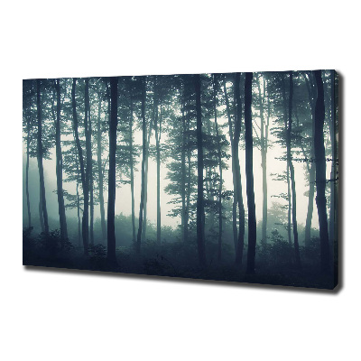 Quadro su tela Foresta nella nebbia