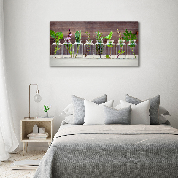 Quadro su tela Piante in vaso